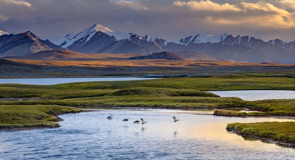 Зима близко