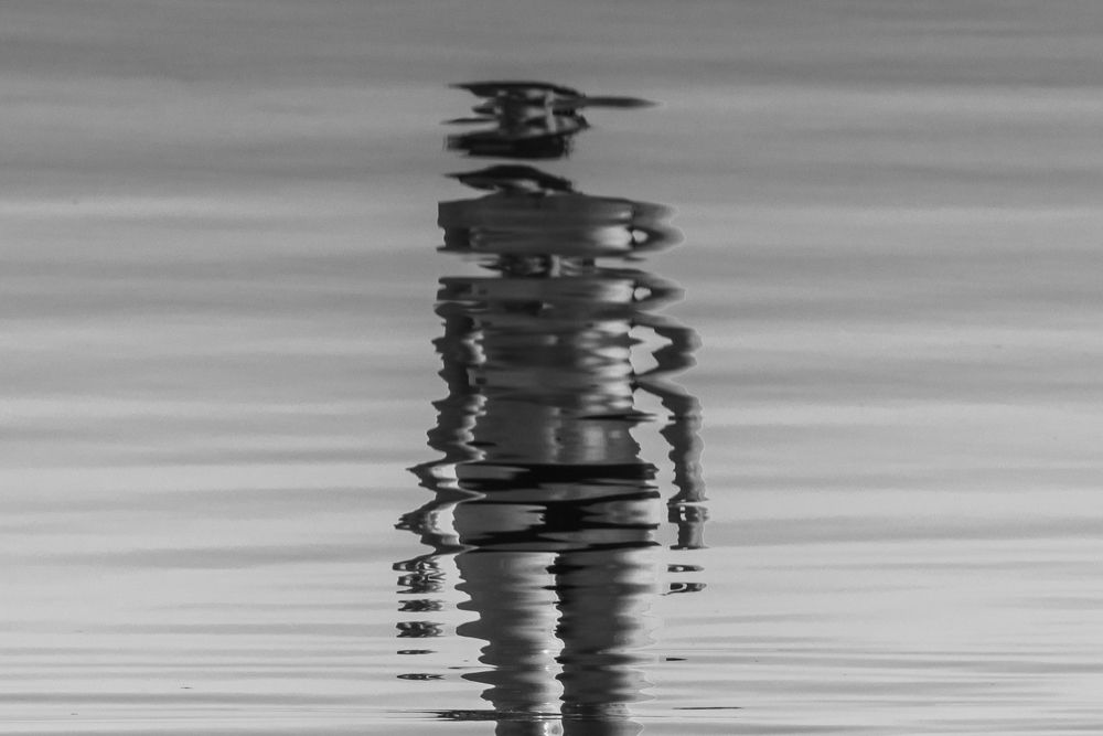 Photograph by Марат Наджибаев