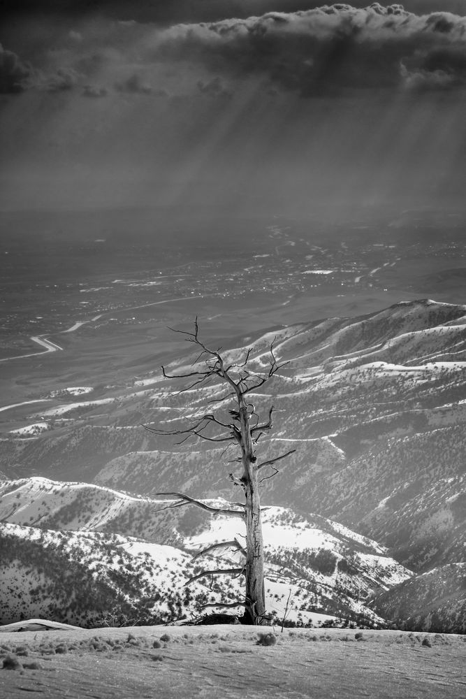 Photograph by Марат Наджибаев