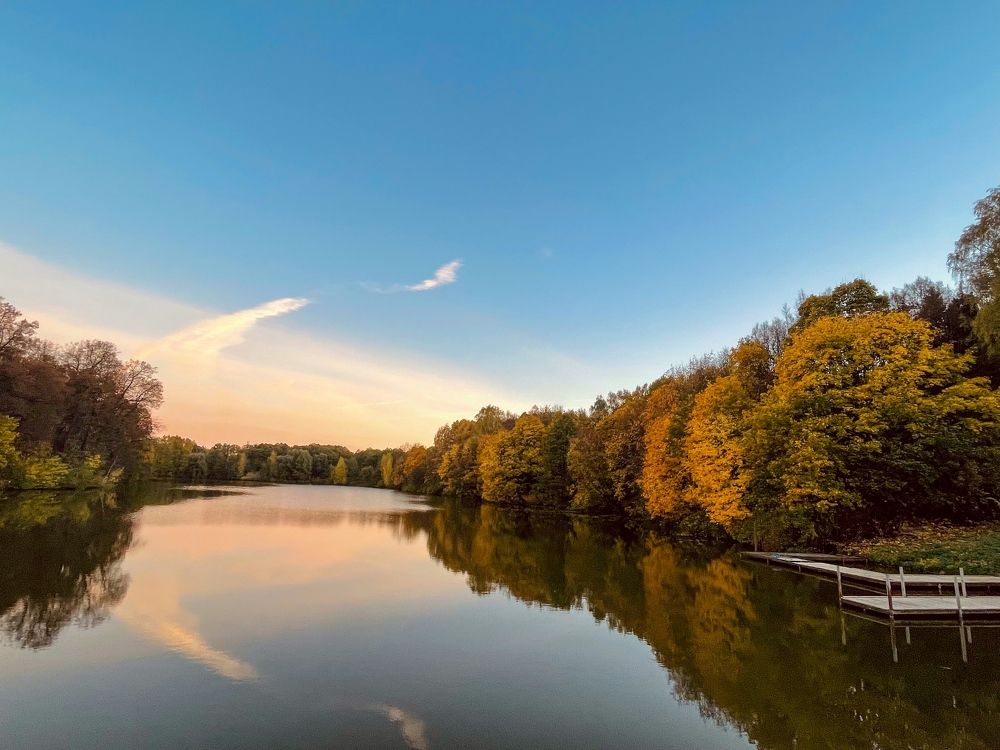 Краски осени