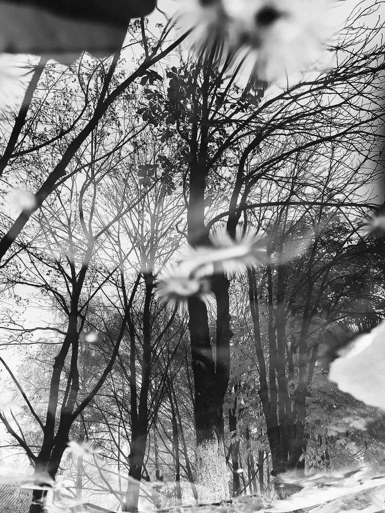 Photograph by Ирина Половцева