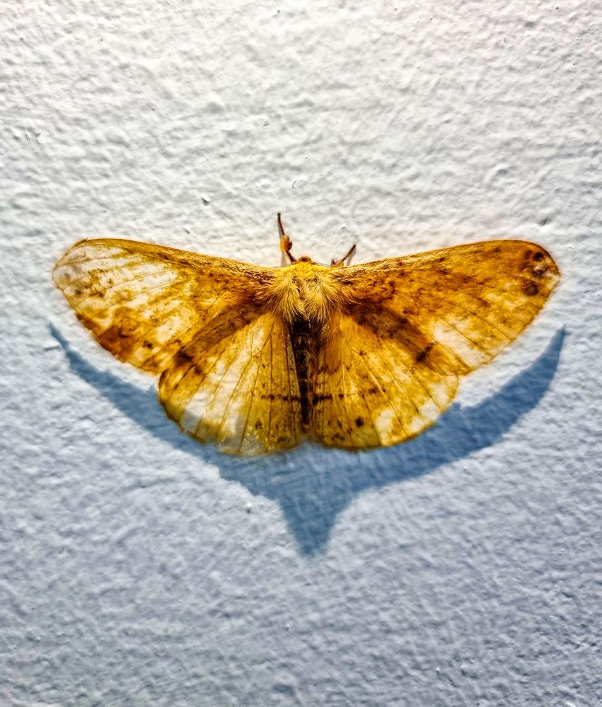 Фотография автора Sajeev Krishnan