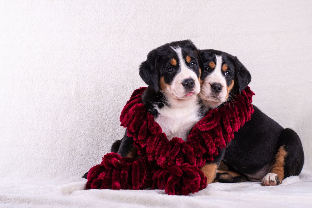 Photograph by наталья залогина