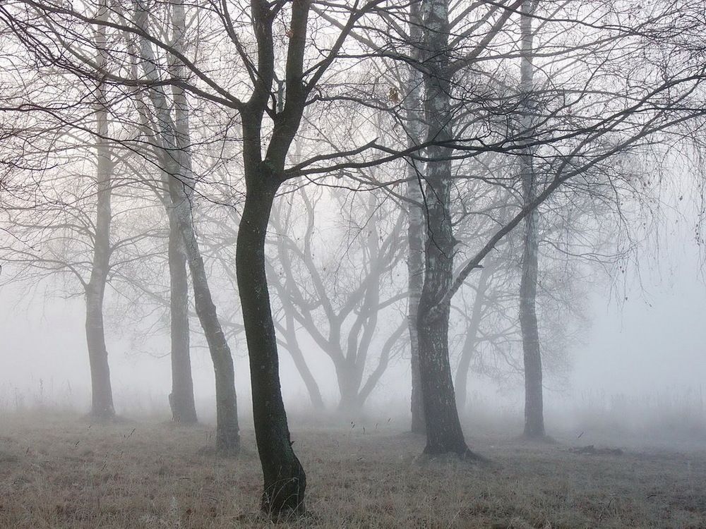 Photograph by Игорь Меньшенин