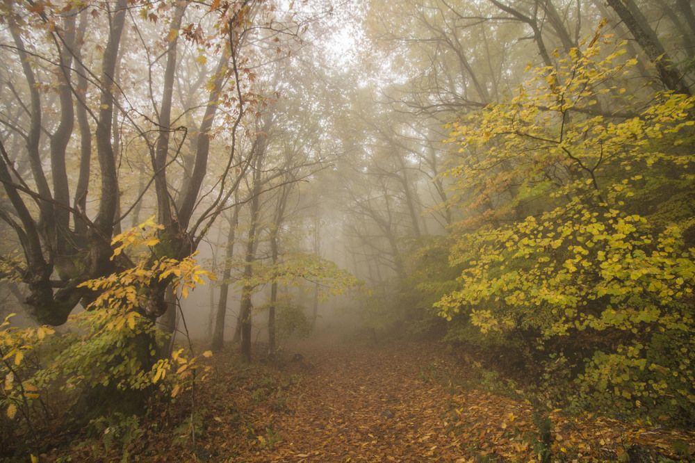 Photograph by iliya levkov