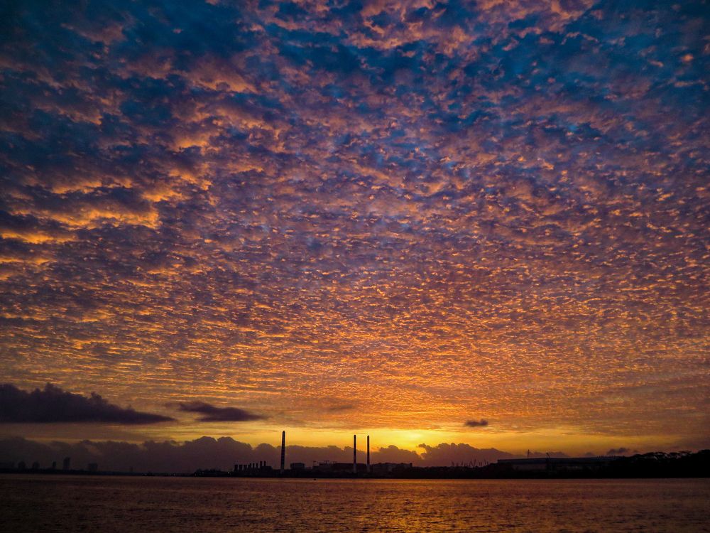 Photograph by Samuel Chan