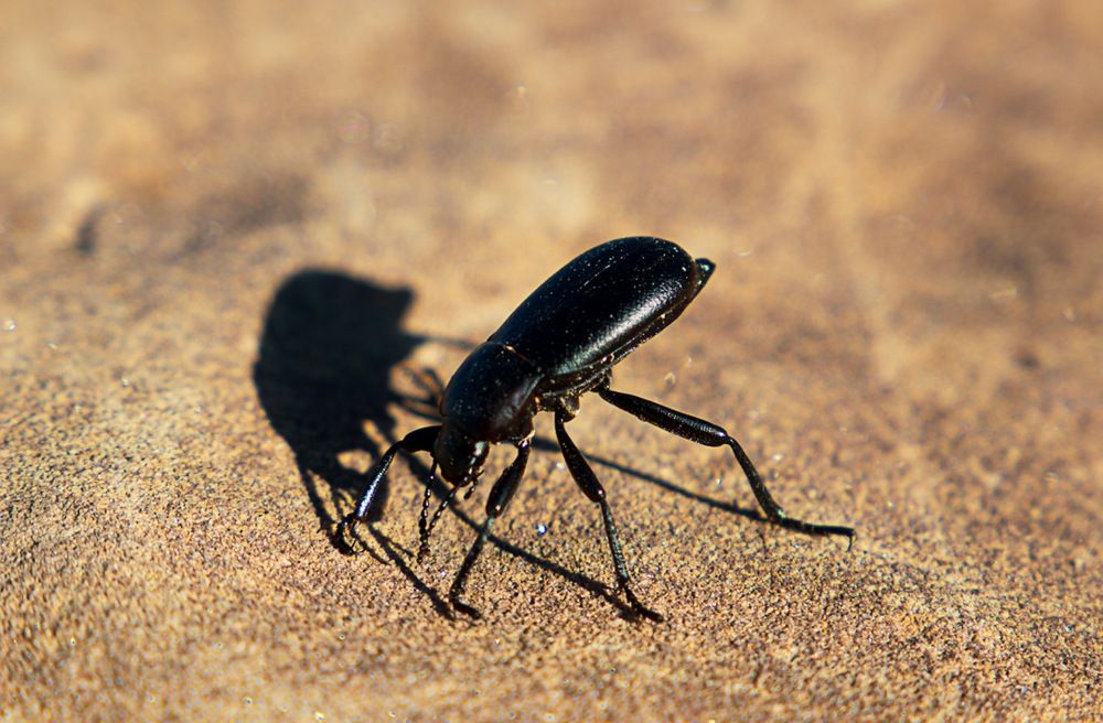 Photograph by Екатерина Першина