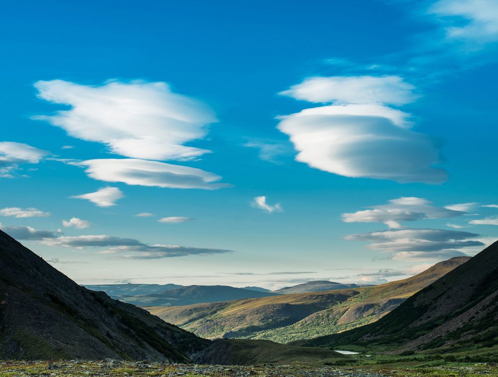 Photograph by Лейла Матар