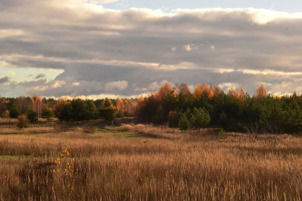 Photograph by Татьяна Носкович