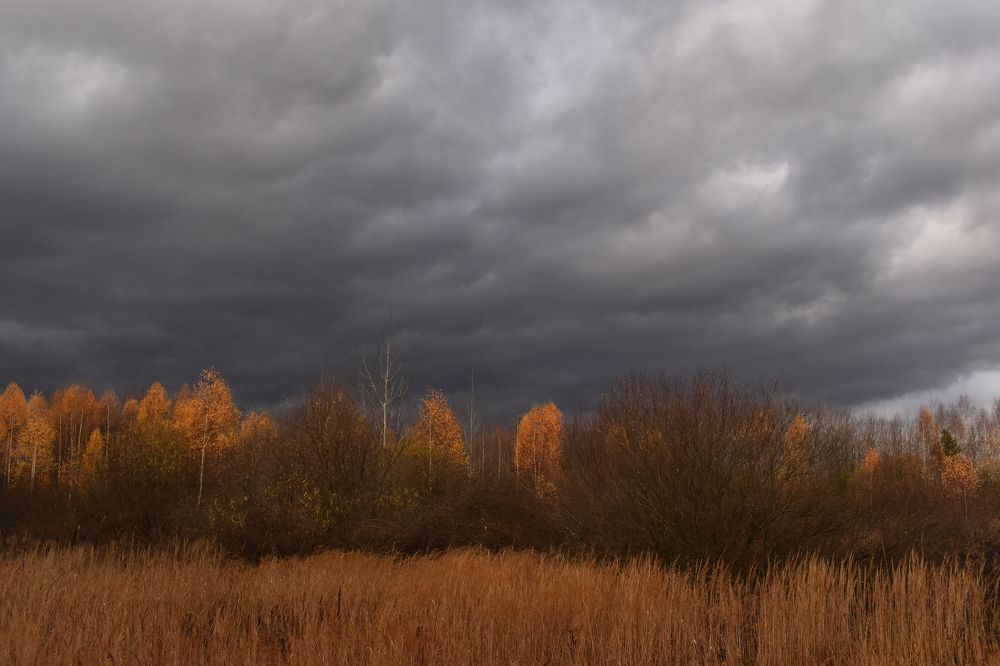 Photograph by Татьяна Носкович