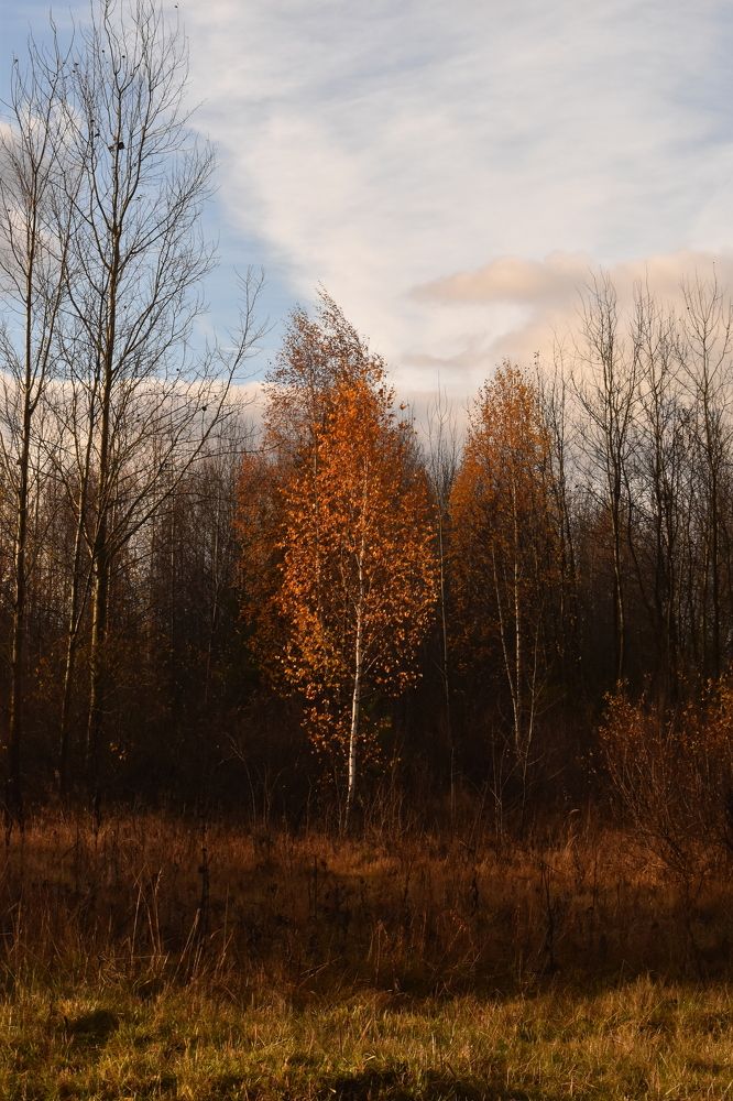 Photograph by Татьяна Носкович