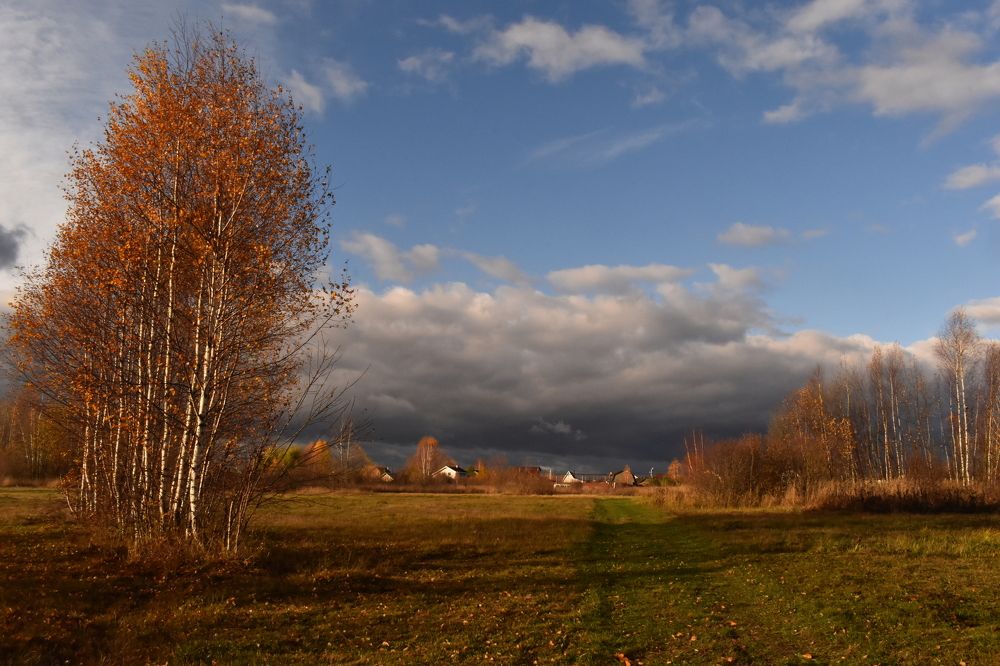 Photograph by Татьяна Носкович