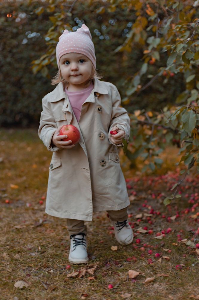 Фотография автора Анна Хейфиц