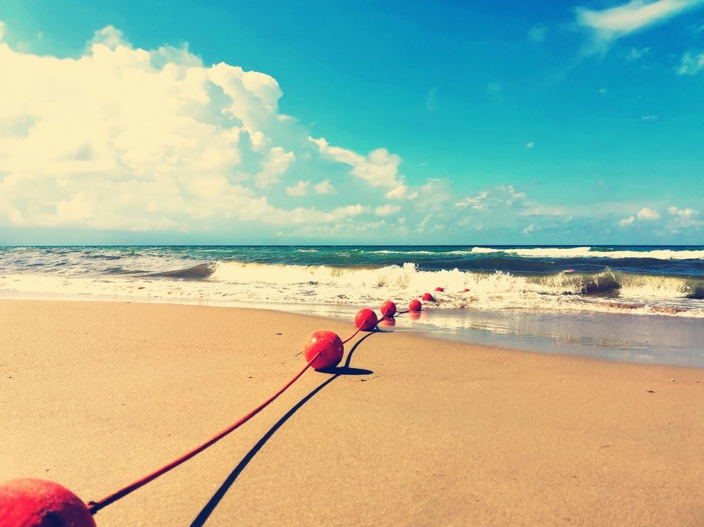 Красное в Черном