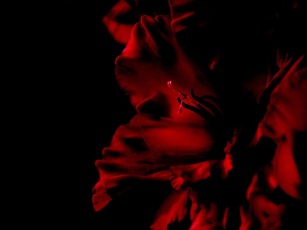 Photograph by Елена Ласун