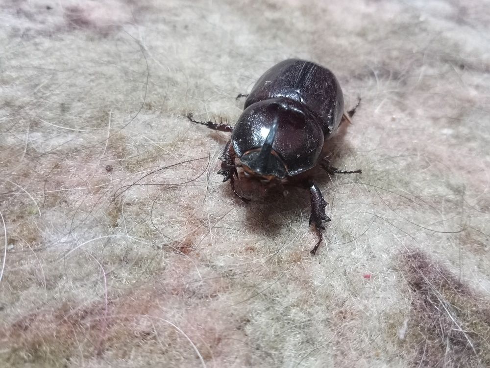 Photograph by Вячеслав Геннадьевич Усков