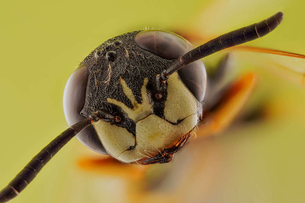 Photograph by Александр Трипольский