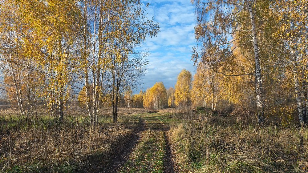 Photograph by Андреев Николай