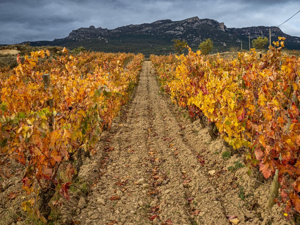 Photograph by Antonio Miralles Gascó