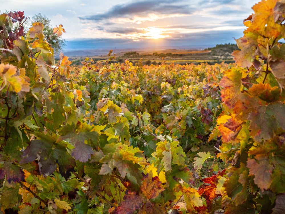 Photograph by Antonio Miralles Gascó