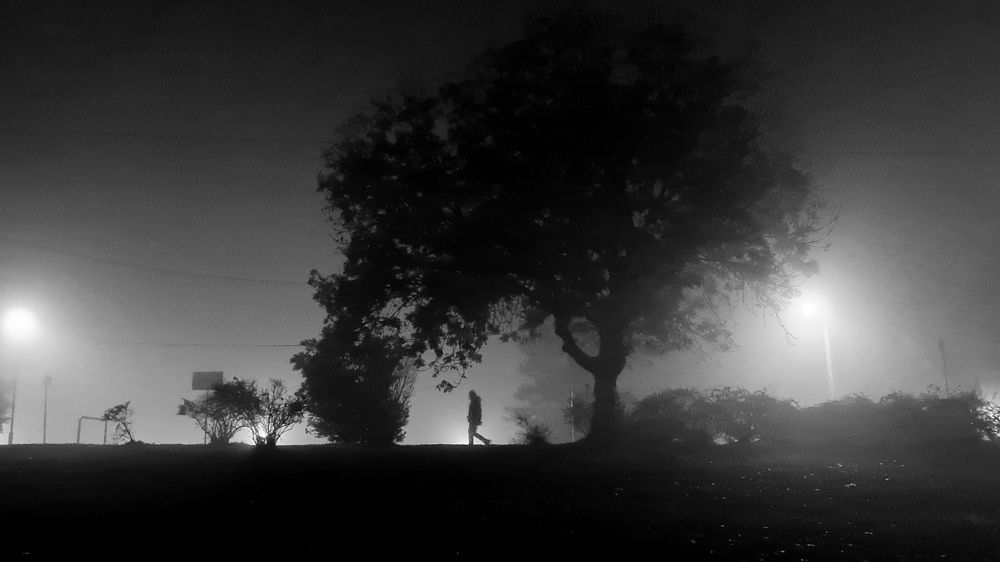 Photograph by Andrey Kondrov