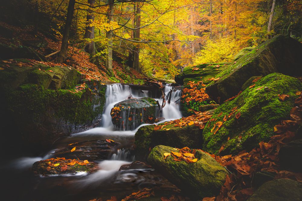 Photograph by Tomáš Jurník