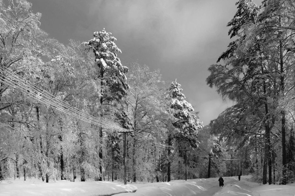 Photograph by Борис Большаков