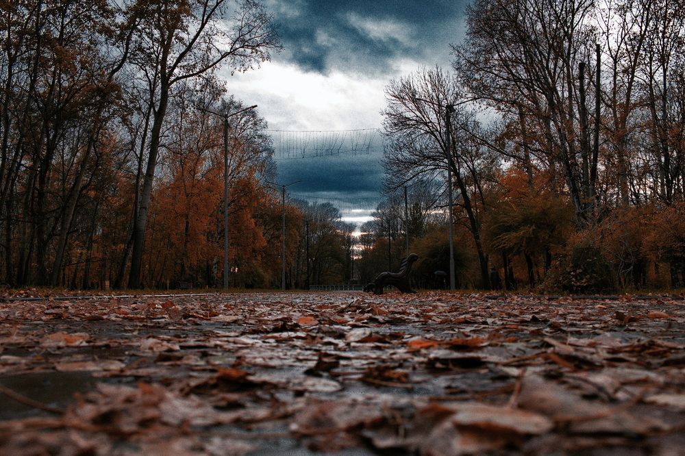 Photograph by Елена Ласун