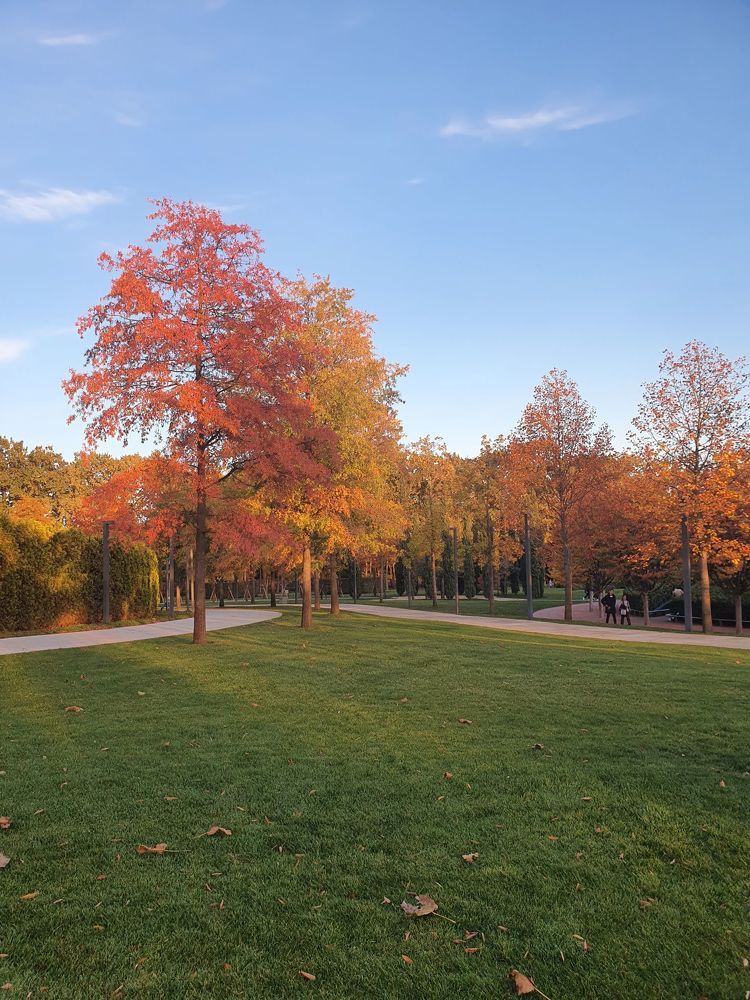 Photograph by Екатерина Шарун