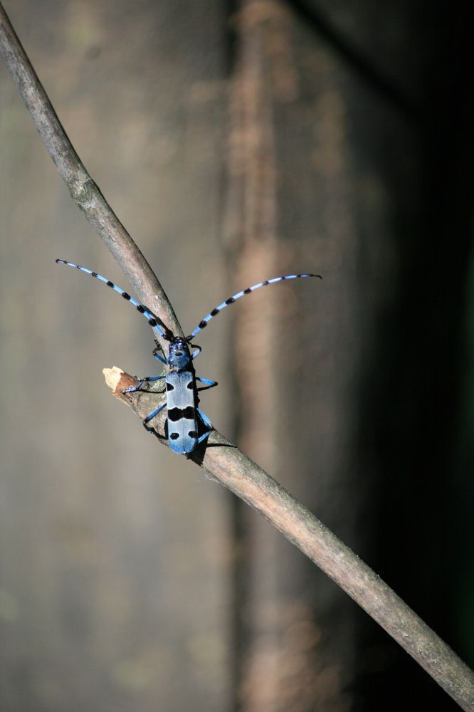 Фотография автора Татьяна Шебаршенко