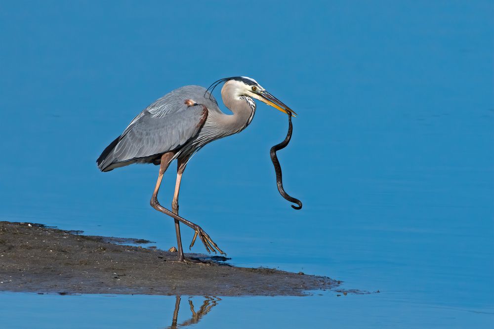 Photograph by Guy Wilson