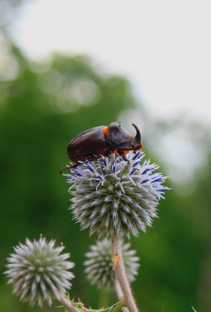 Фотография автора Татьяна Шебаршенко