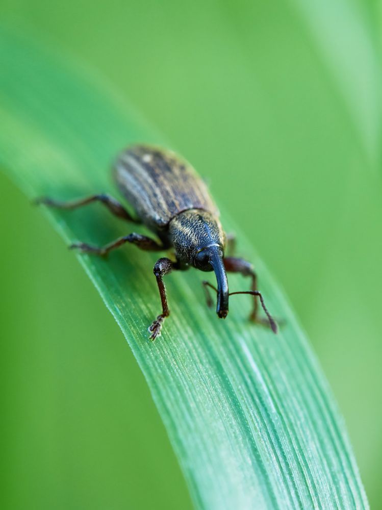 Photograph by Дмитрий