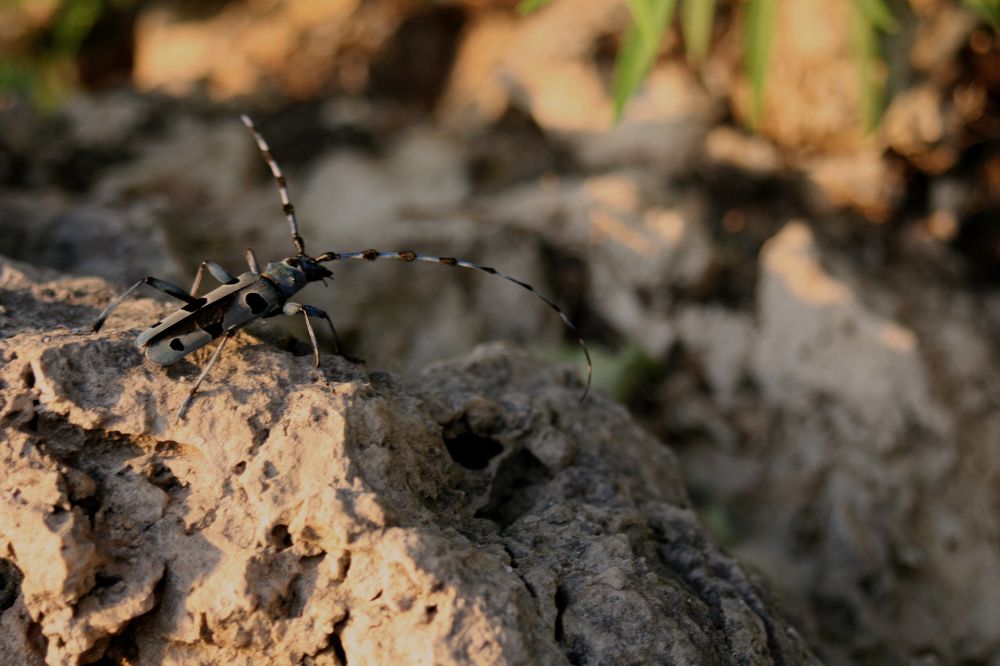 Фотография автора Татьяна Шебаршенко