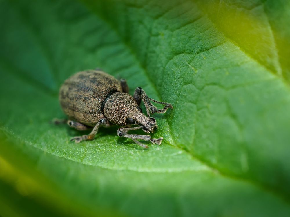 Photograph by Дмитрий