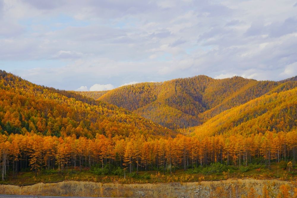 Photograph by Анна Брылева