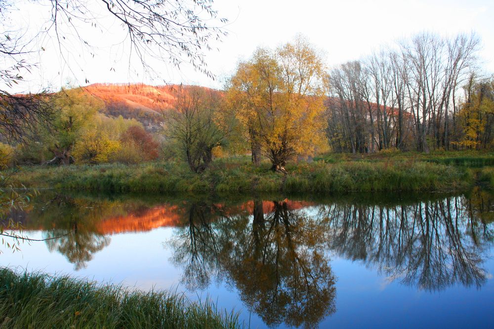 Фотография автора Татьяна Шебаршенко