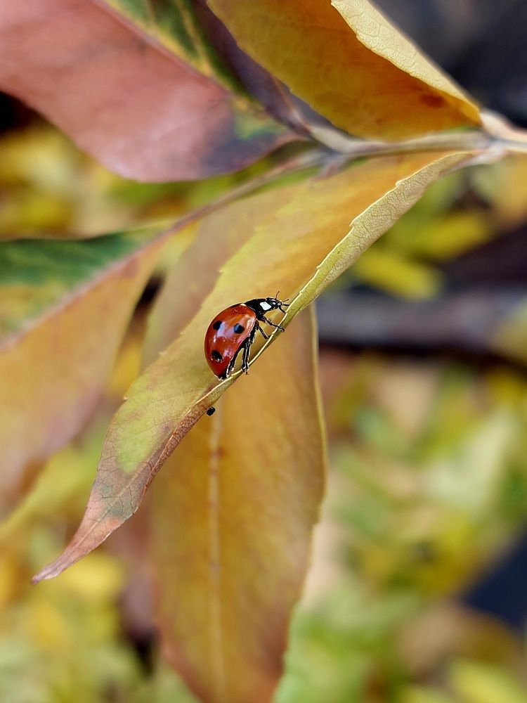 Photograph by Нина Паршина
