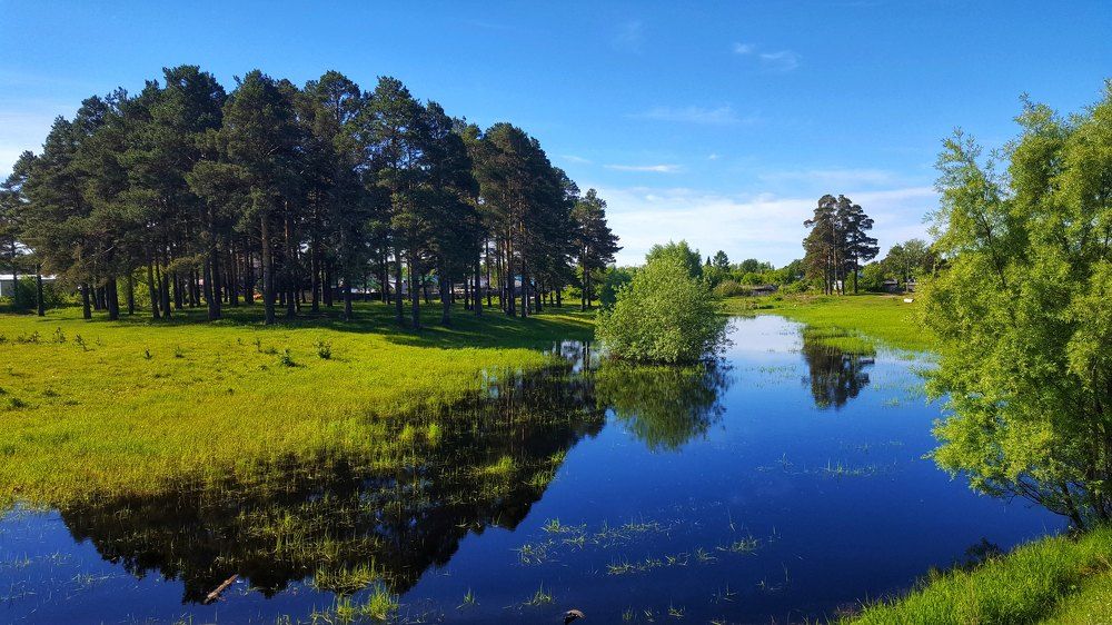 Photograph by Митюшкова Алёна