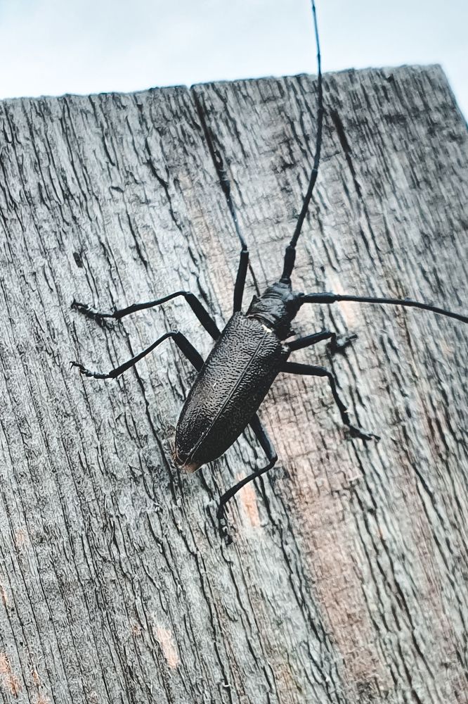 Photograph by Светлана Нестерова