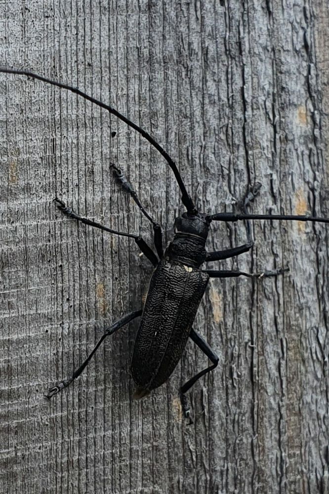 Photograph by Светлана Нестерова