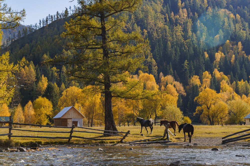 Photograph by Константин Гер