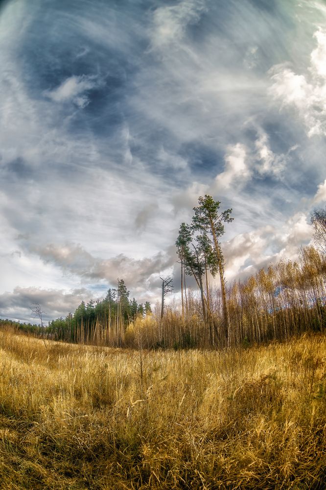 Photograph by Александр Соловьев