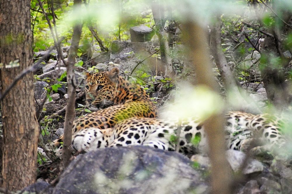 Photograph by Neelimaa Ripote