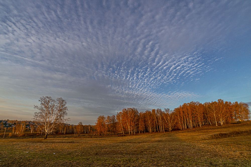 Photograph by Сергей Балашов