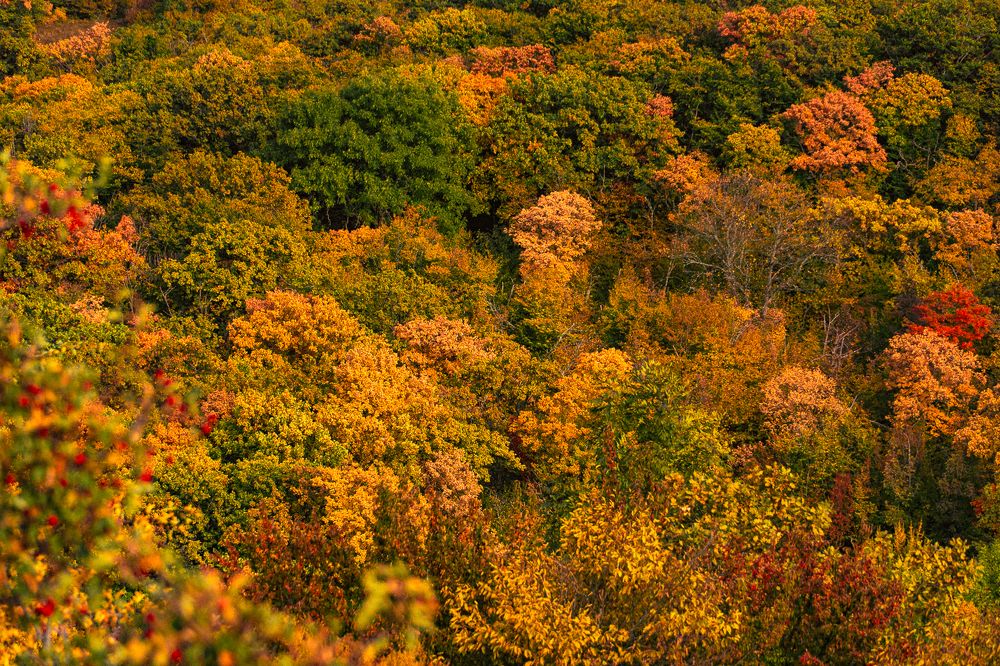 Photograph by Дмитрий