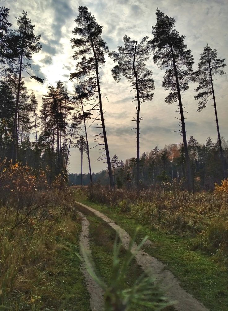 Photograph by Людмила М