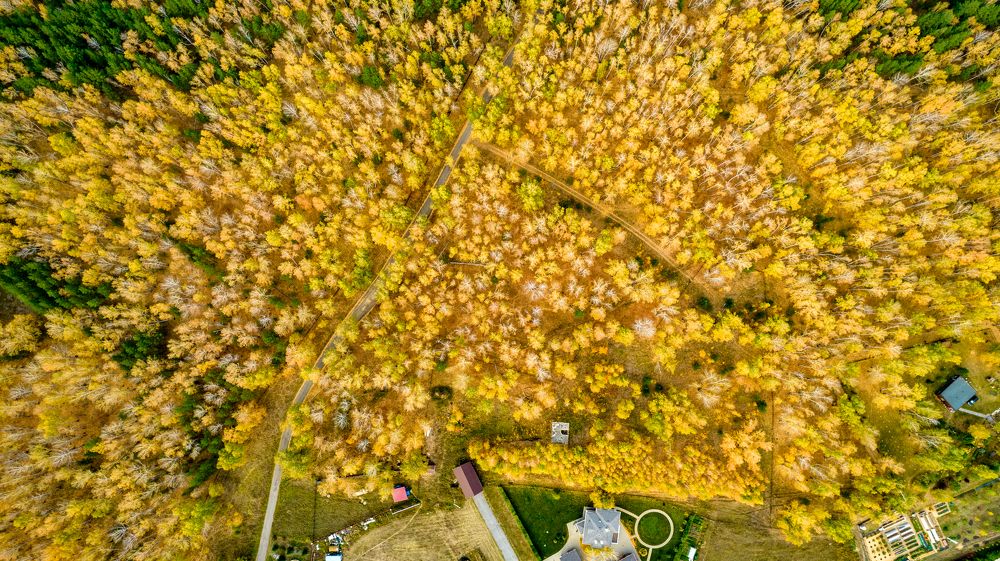 Photograph by Михаил Лаптев