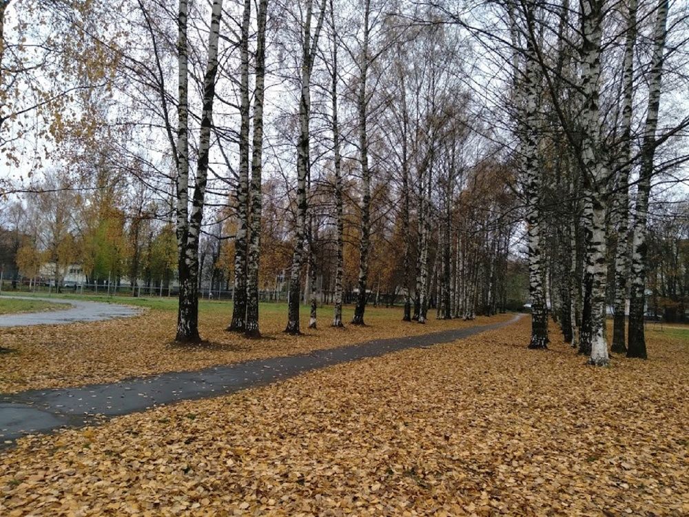 Photograph by Ася Кузьмина
