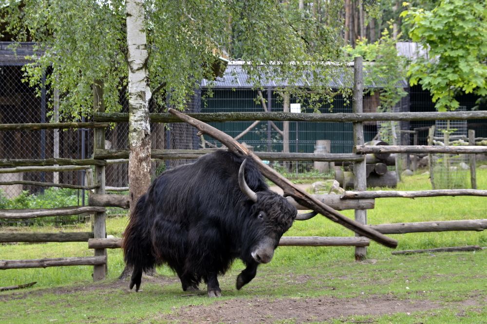 Photograph by Николай Соколовский